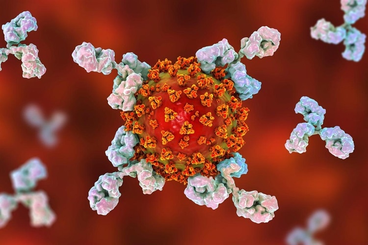 Реакция антител через 18 месяцев после заражения SARS-CoV-2 у вакцинированных и невакцинированных лиц Здоровье