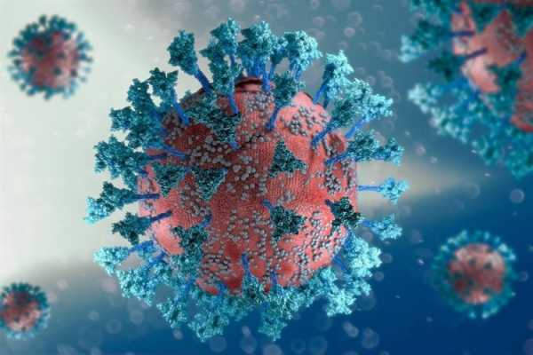 Новейший вариант коронавируса тяжелого острого респираторного синдрома 2 (SARS-CoV-2), названный Омикрон, был описан 26 ноября 2021 года на основе пос - Здоровье