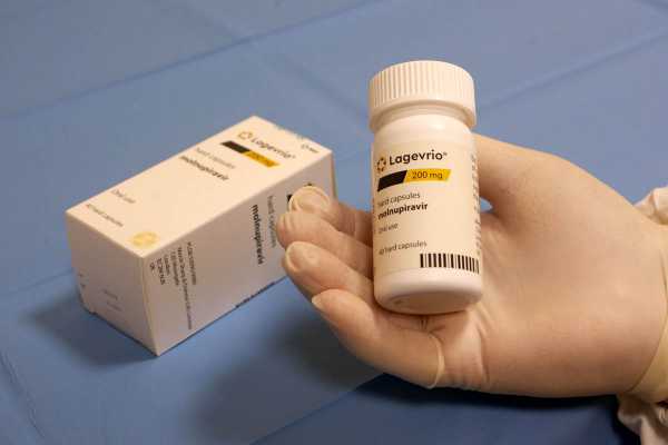 Ожидается поставка более 300 тысяч курсов препарата "Молнупиравир" - Здоровье