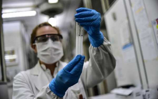 Ученые из Института молекулярной биологии и генетики в Украине разработали 5 различных тест-систем для одновременного обнаружения COVID, гриппа и друг - Здоровье