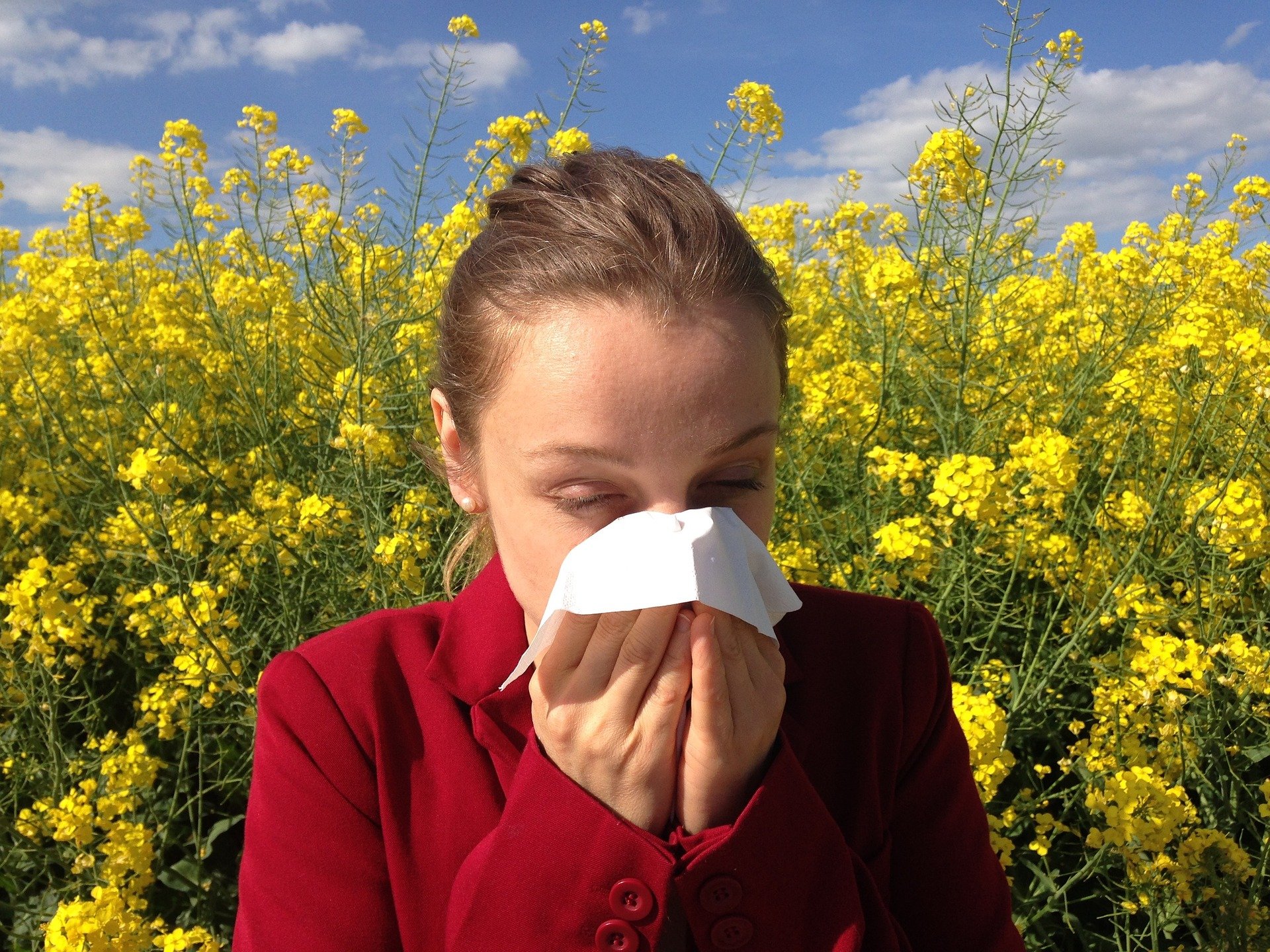 Различные виды аллергии Здоровье
